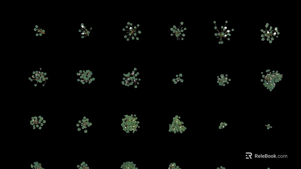 Elegant Vase With Green Flowers And Floral Pattern On Black Background Decor 3d model 