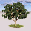 Fruit Bearing Arbor With Green Leaves Under Blue Sky And White Clouds On Grassy Ground