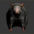 Detailed 3D Render of Gray Black Rat with Red Ears Claws Tail and Blue Eyes