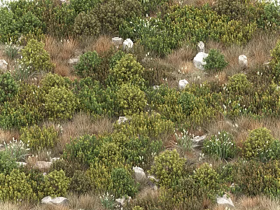 Lush Green Shrubs And White Flowers In Meadow With Scattered Stones 3d model