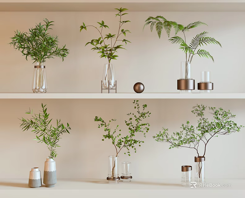 Stylish Glass Vases With Green Plants On White Shelves Modern Interior Decor 3d model 