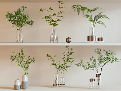 Stylish Glass Vases With Green Plants On White Shelves Modern Interior Decor 3d model