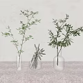 Glass Vases with Green Foliage Arrangement on Gray Countertop Against Light Wall