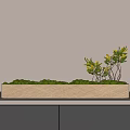Modern Bonsai Potted Plant With Green Leaves And Small Decorative Balls On Gray Tabletop