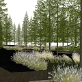 Park Landscape Featuring Wooden Boardwalk Water Channel Tall Pine Trees Green Grasses And Lawn