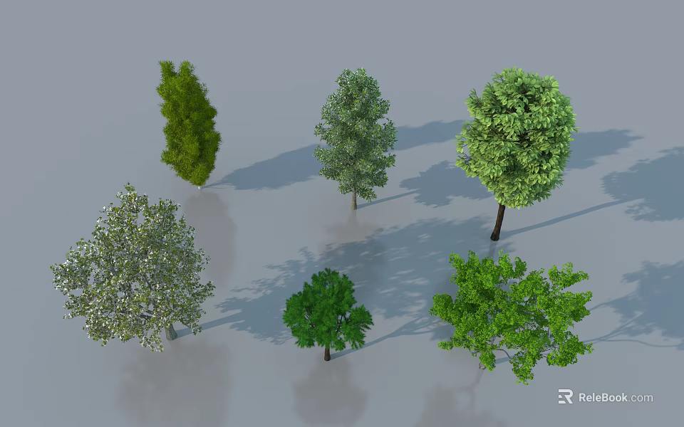 Various Types of Arbor Trees with Green Leaves and Diverse Forms in 3D 3d model 