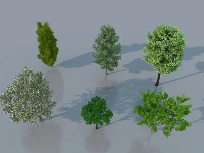 Various Types of Arbor Trees with Green Leaves and Diverse Forms in 3D 3d model