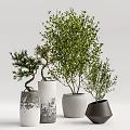 Bonsai and Potted Plants With Various Ceramic Concrete Planters For Indoor Decoration