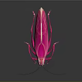 Pink Cockroach With Yellow Eyes And Transparent Wings On Dark Background With Reflection