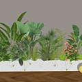 Lush Bonsai Potted Plants with Various Greenery in Long White Concrete Planter for Indoor Decor