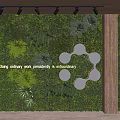 Green Plant Interior Living Wall with Cloud Shaped Decorations Golden Text and Spotlights