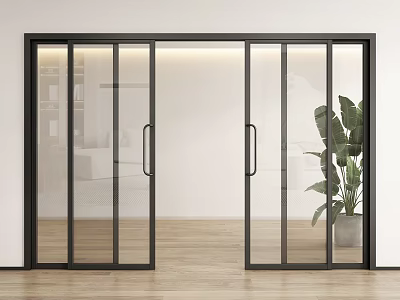 Modern Black Frame Glass Sliding Doors In Interior With Wooden Floor And Plant 3d model