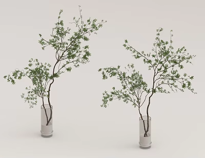 Two Transparent Glass Vases With Green Leaf Branches On White Background 3d model