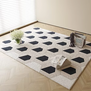 Modern Carpet 3d model