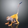 3D Model Yellow Monkey with Gray Tail Blue Tip Orange Limbs Standing on Black Background 3d model