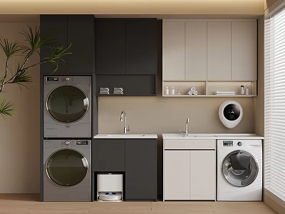Modern Laundry Room With Palm Plant Washing Machines Dryers Sinks And Cabinets 3d model