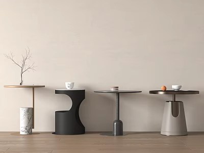 Modern Side Tables In Various Stylish Designs Decorated With Twig Cup And Fruit 3d model