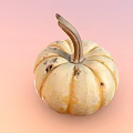Fresh Ripe Pumpkin With Round Shape And Orange Yellow Skin As Healthy Food Ingredient