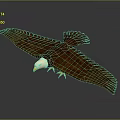 Eagle with White Head Brown Feathers Spreading Wings on Dark Background with Reflection