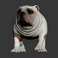 Brown And White Bulldog Stuffed Toy With Realistic Design And Lifelike Features