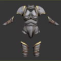 Medieval Female Armor Set With Metallic Silver Design Gold Trim And Shoulder Arm Leg Components