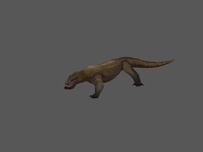 Close Up Of Monitor Lizard Reptile With Long Tail Sturdy Limbs And Rough Skin 3d model