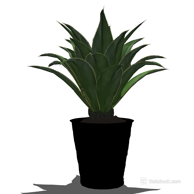 Potted Agave Plant with Green Large Spiky Leaves in Black Pot 3d model 