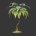 Palm Plant With Green And Yellow Leaves And Brown Trunk On Dark Background