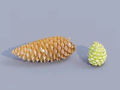 Large Brown Pine Cone And Small Green Pine Cone On Gray Surface 3d model