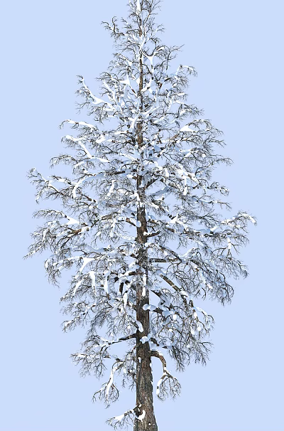 Snow Tree Modern Tree 3d model Snow Tree Modern Tree 3d model