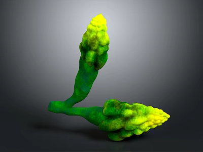 Fresh Green and Yellow Asparagus Stems Displaying Vibrant Vegetable Growth 3d model