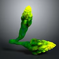 Fresh Green and Yellow Asparagus Stems Displaying Vibrant Vegetable Growth