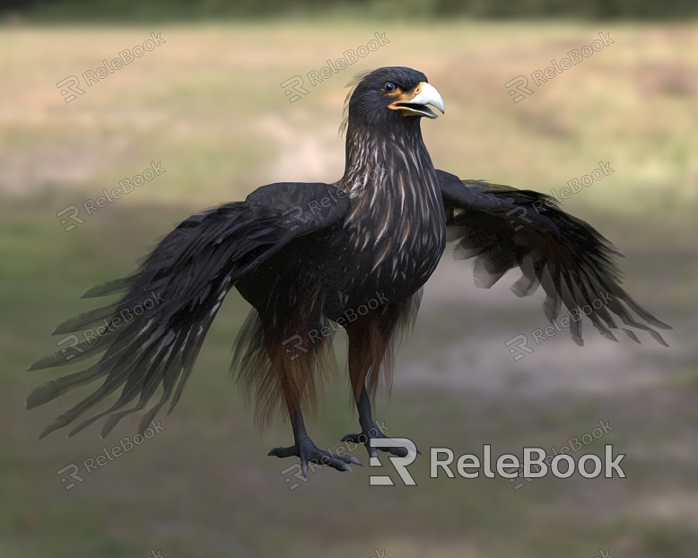 Red-legged giant falcon red-legged cara eagle animal model