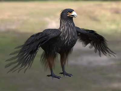 Black Bird With Yellow Beak And Spread Wings Standing On Grassy Ground 3d model