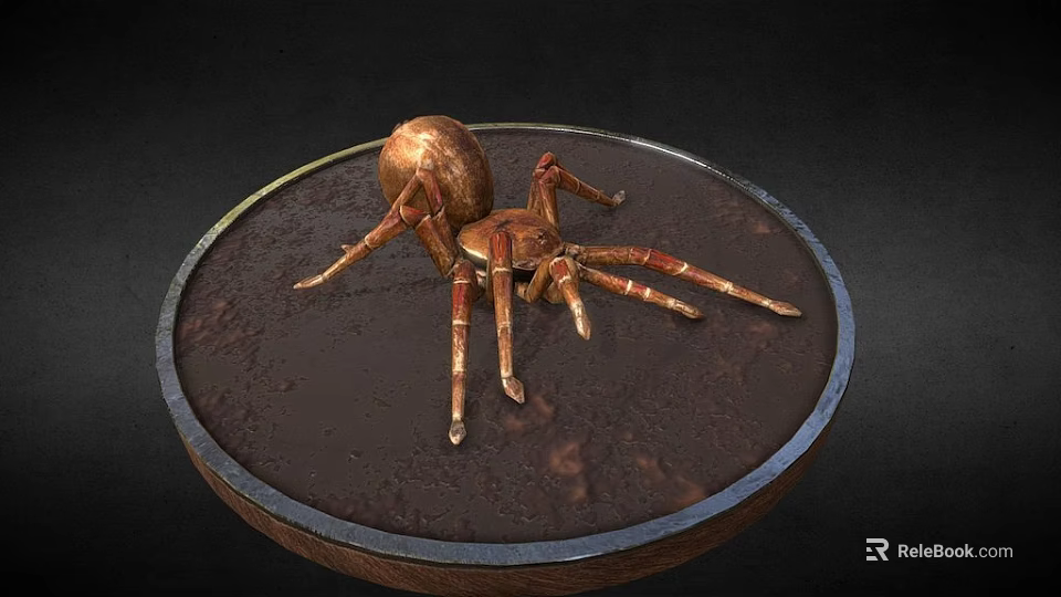 Copper Spider On Round Metal Tray With Dark Background Surface 3d model 