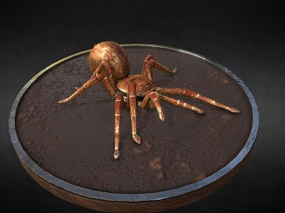 Copper Spider On Round Metal Tray With Dark Background Surface 3d model