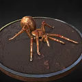 Copper Spider On Round Metal Tray With Dark Background Surface 3d model