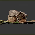 Natural Tree Stump Scene Model With Green Grass And Red Dirt