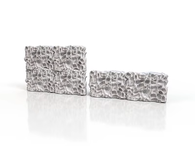 Detailed Organ Tissue And Hair Follicle Structures In Scientific Display Models 3d model
