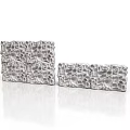 Detailed Organ Tissue And Hair Follicle Structures In Scientific Display Models