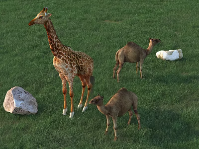 Reptiles In Natural Grassland With Giraffes Camels Rocks And White Objects 3d model Reptiles In Natural Grassland With Giraffes Camels Rocks And White Objects 3d model