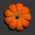 Plump Ripe Orange Pumpkin with Smooth Skin on Dark Background for Healthy Food