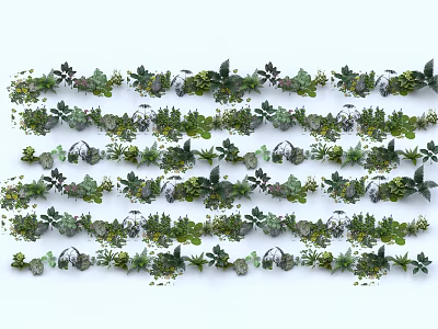 Various Types Of Decorative Green Plants And Flowers Arranged In Rows With Different Leaf Shapes 3d model