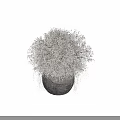 Rustic Textured Ceramic Vase Holding Lush Green Foliage and Hanging Branches