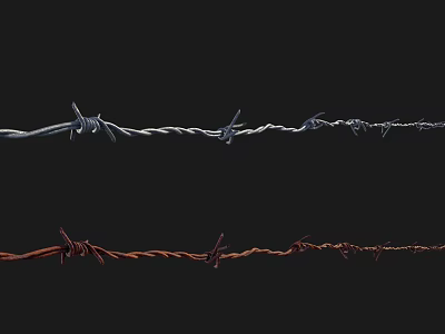 Iron Art Barbed Wire Display In Silver And Rusty Red On Black Background 3d model