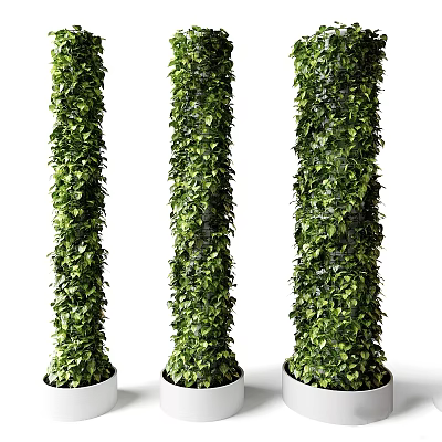 Lush Green Decorative Vines Covering Pillars For Indoor Outdoor Garden Decor 3d model