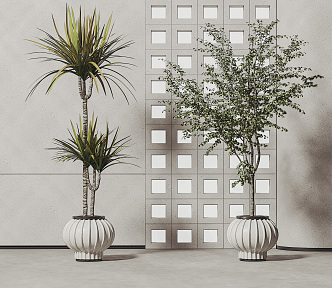 modern potted plant potted plant 3d model