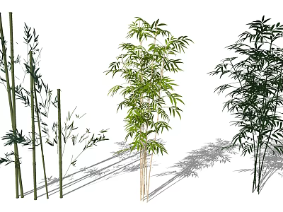 Various Bamboo Plants With Green Leaves Different Heights And Shadows 3d model