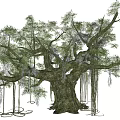Ancient Trees Modern Trees 3d model