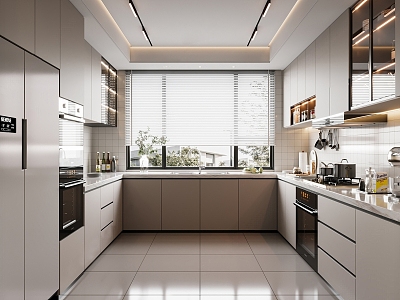 Modern Kitchen model